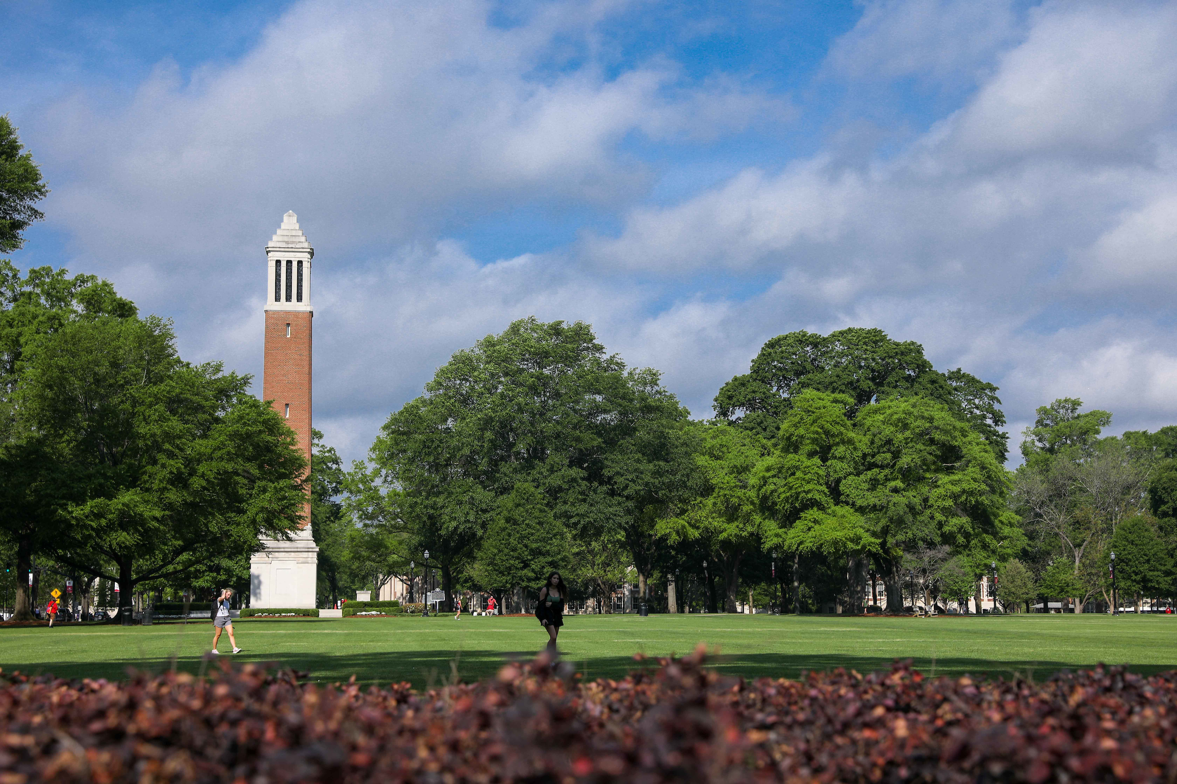 Photo of UA campus in Spring