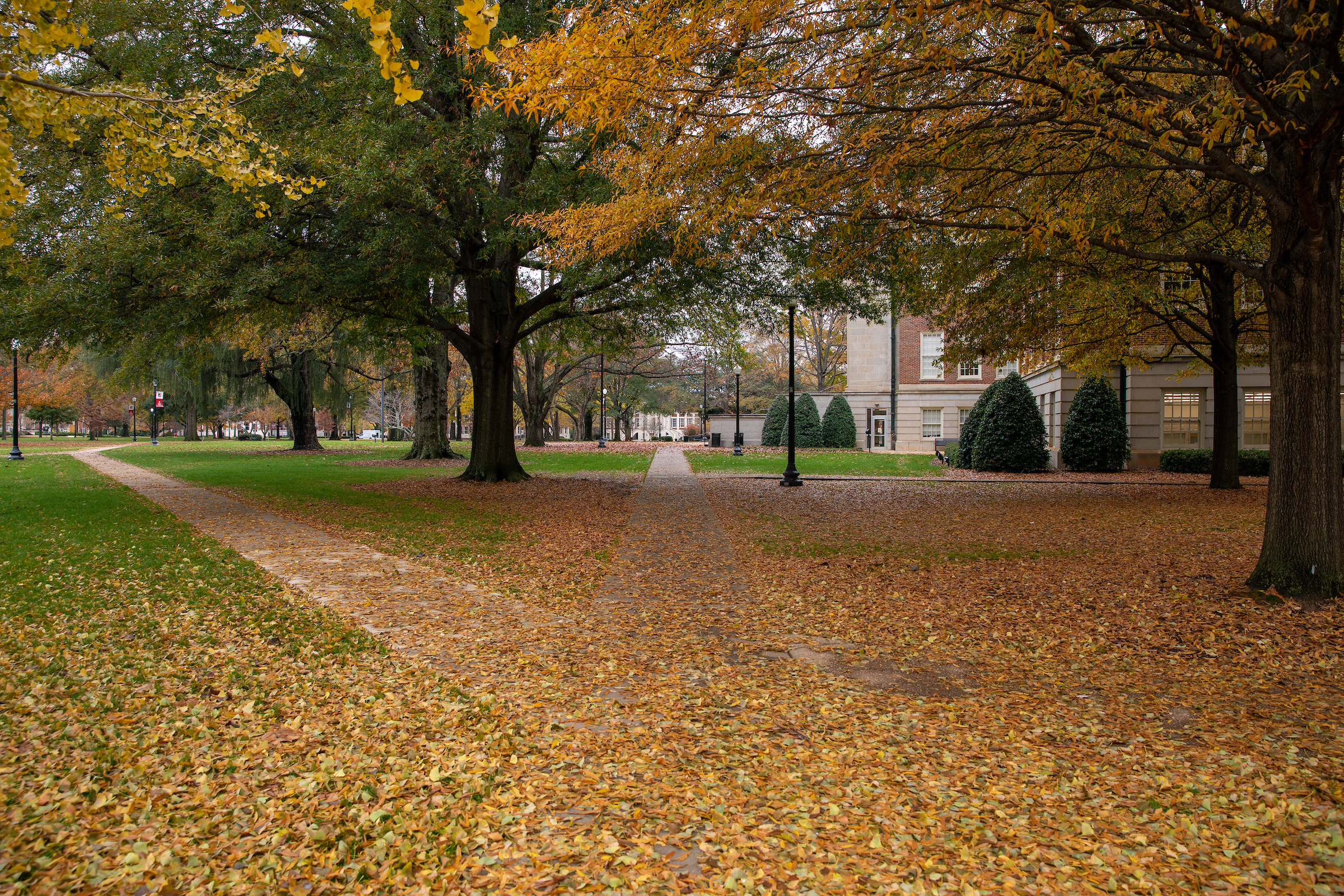 Stock image of UA campus